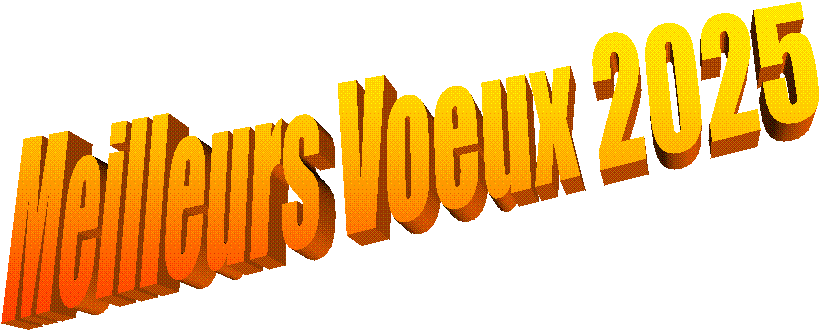 Meilleurs Voeux 2025